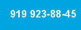919 923-88-45